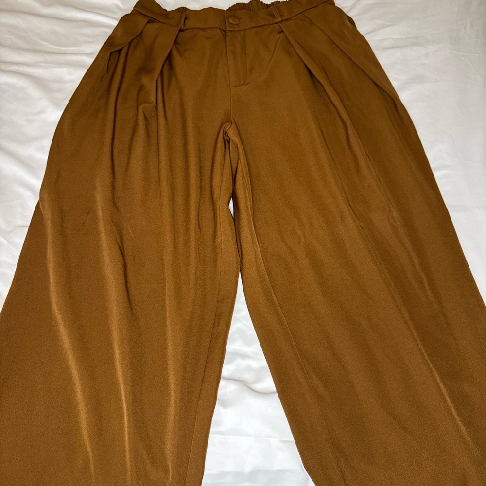 SHEIN Curve OXL Brown Trousers